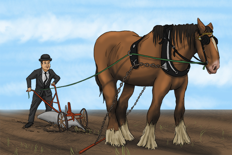 Agriculture by a business person (agribusiness) means they apply their skills to the horse and plough.